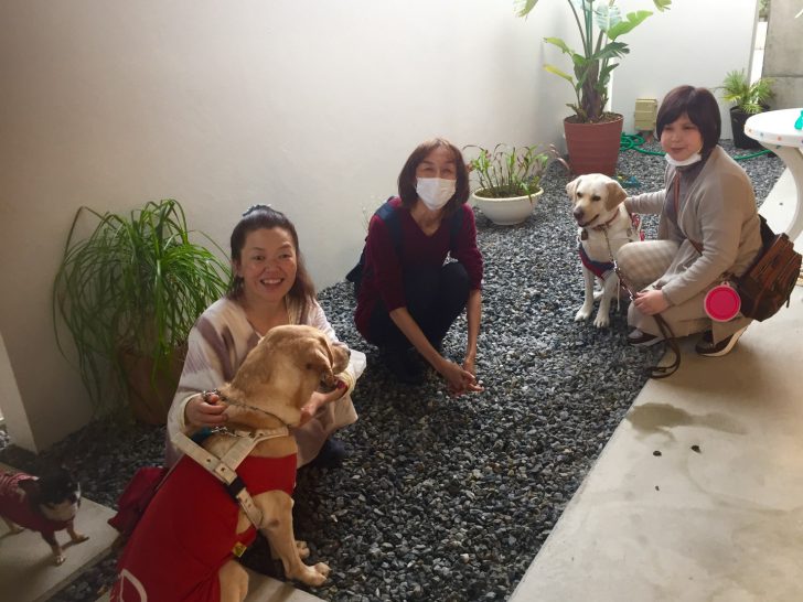 盲目トリオの写真です。