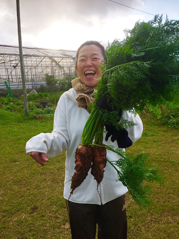 ついに野菜ができました！