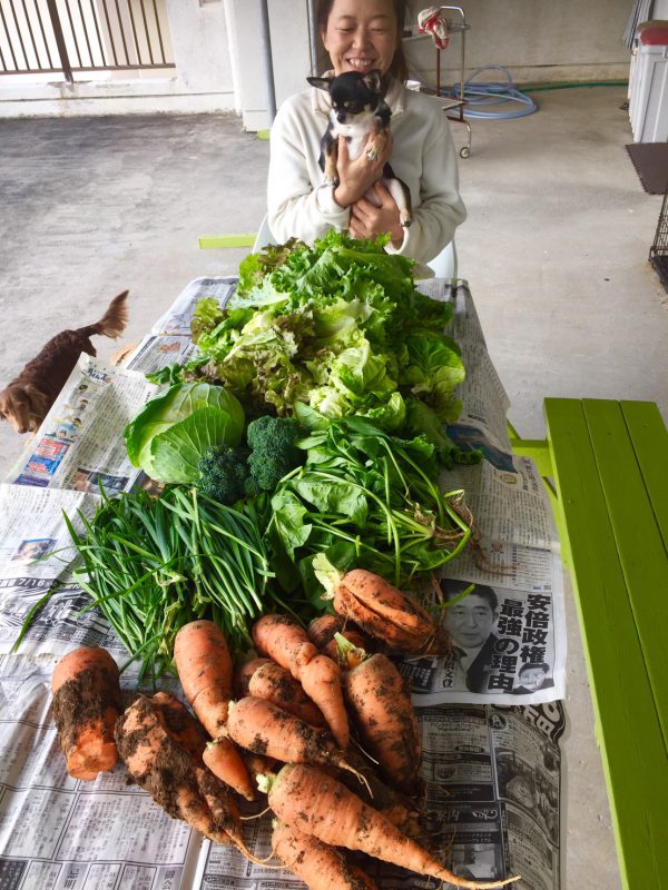 こんなに野菜が・・・