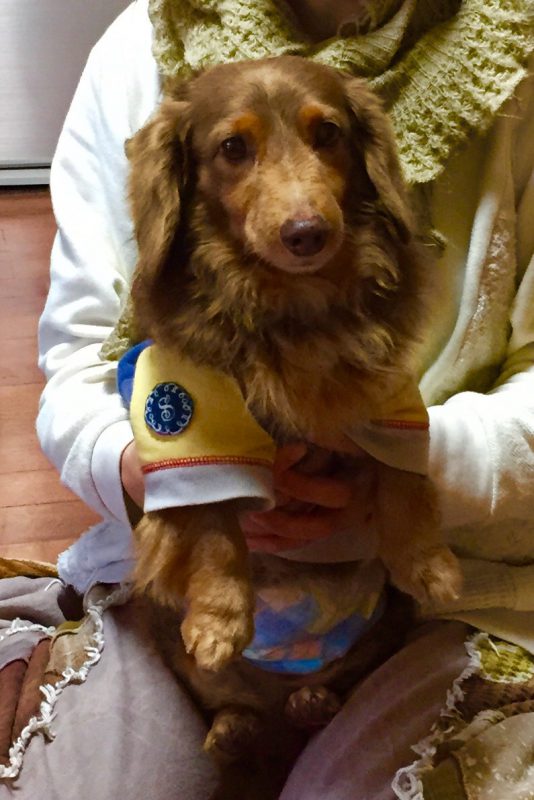 かんたくんのお誕生日