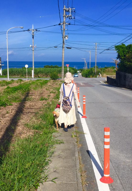 セロトニン酵素生活で腸内環境を整えましょう