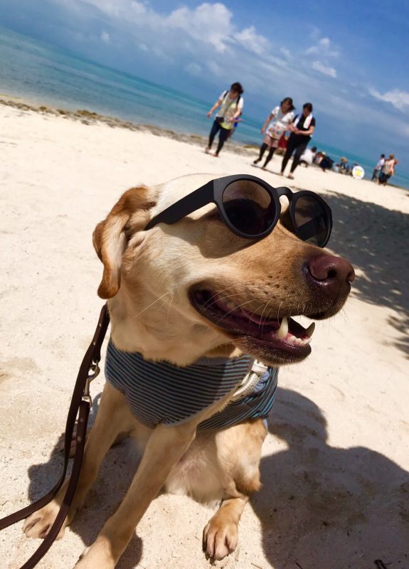 皆さんちゃんと噛まないとダメですよ〜