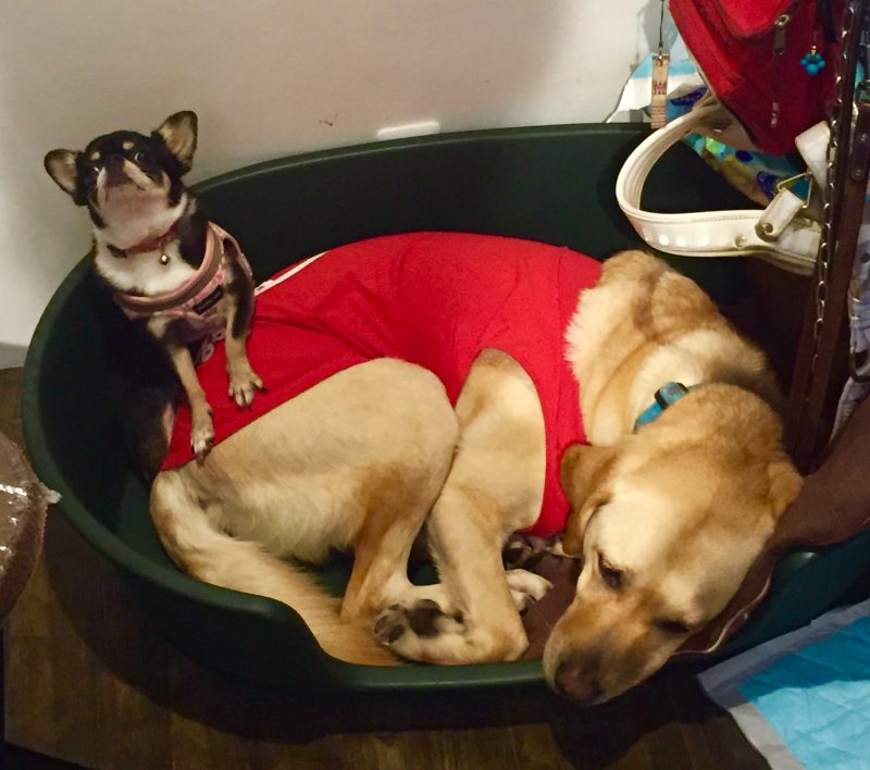 股関節パワー❗️