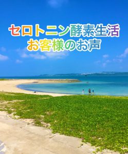 セロトニン酵素生活のお声を頂きました。