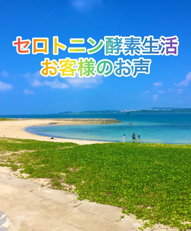 セロトニン酵素生活のお声を頂きました。