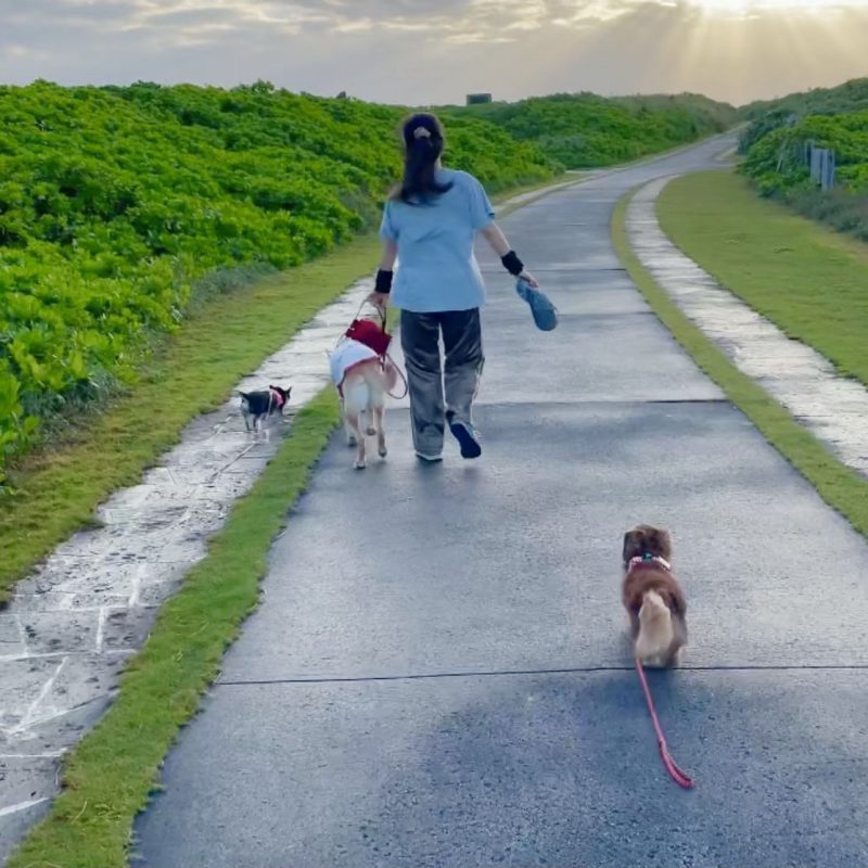 幸せのウォーキング その1