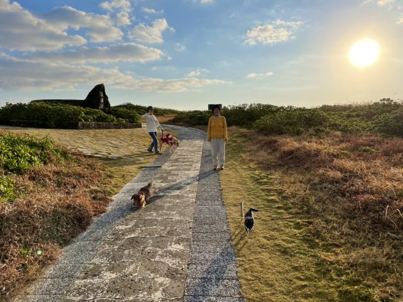 早朝のウォーキング