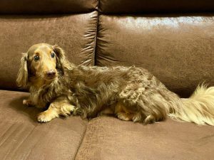 昨日のカンタくんです。