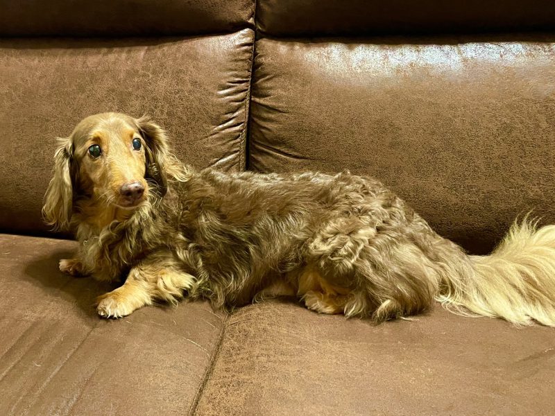 昨日のカンタくんです。