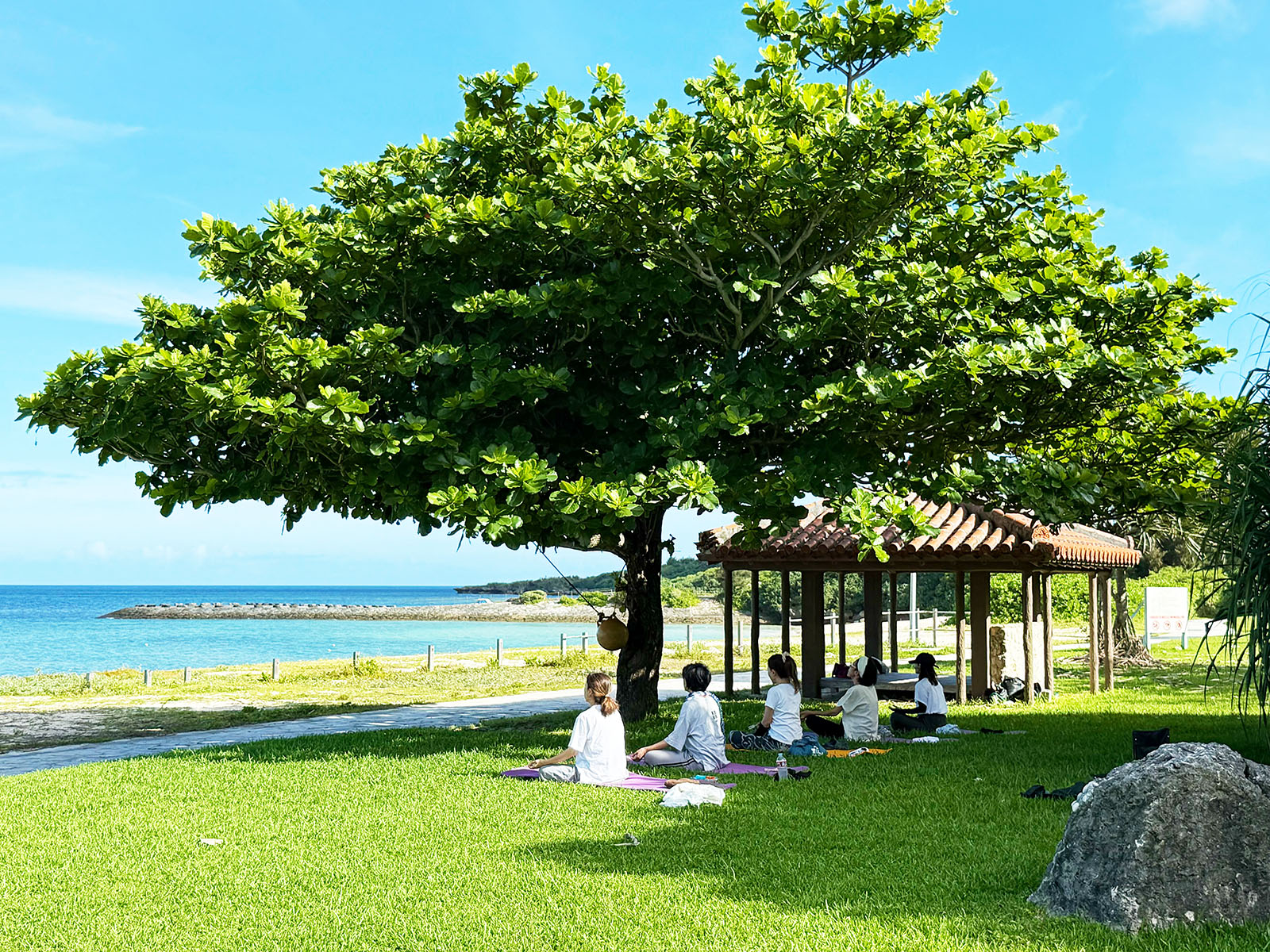 青い海と緑のある清々しい環境での屋外レッスン風景 